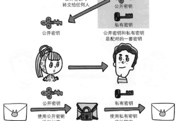 kb976902代表什么？它背后隐藏着怎样的秘密或信息？