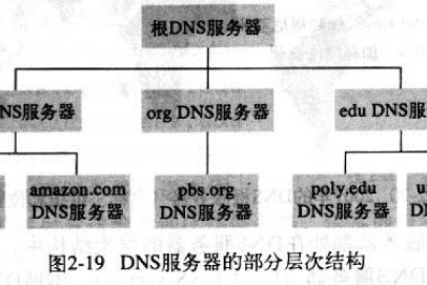 DNS服务器类型介绍：了解主、辅、权威等几种类型 (dns服务器有哪几种类型)