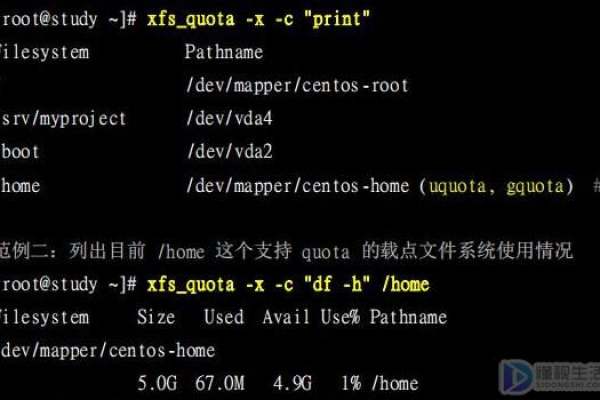 如何理解并应用Linux中的‘-al’命令选项？