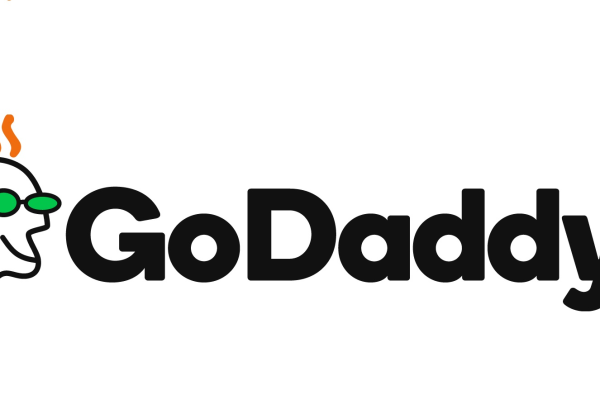 如何购买和配置 Godaddy 服务器 (godaddy 服务器)  第1张