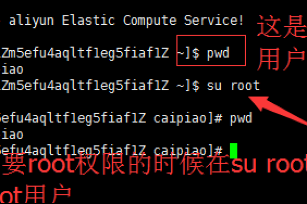 linux怎么将用户添加到root组