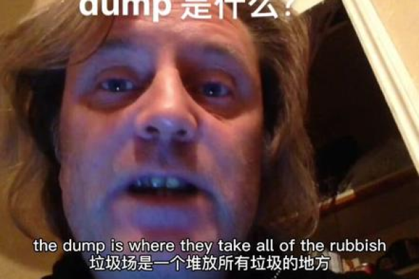 dump，这究竟意味着什么？  第1张