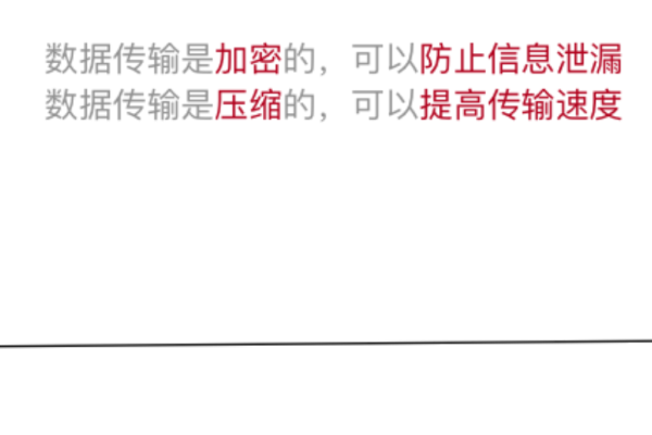 掌握虚拟主机 ssh，实现远程管理与数据传输 (虚拟主机 ssh)  第1张