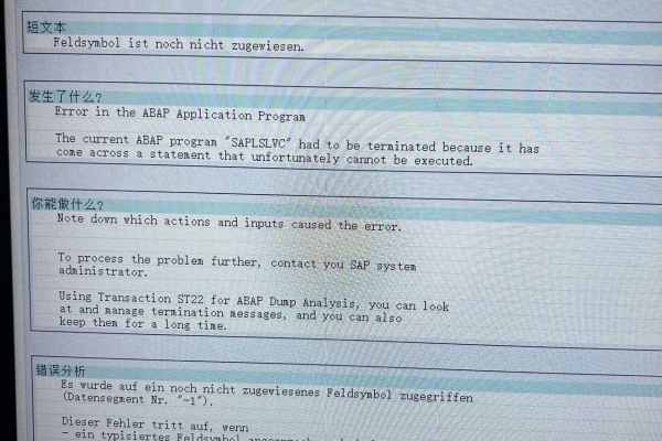 sap使用脚本报错