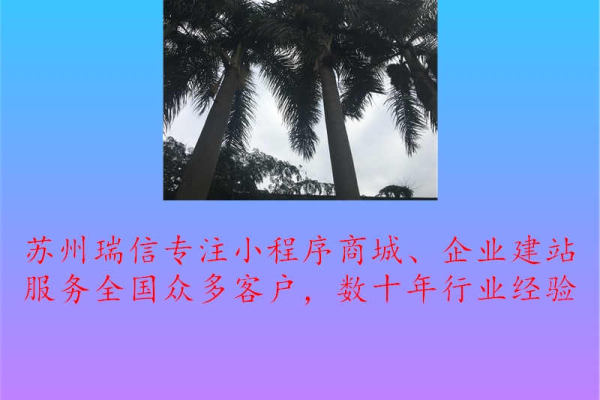 建立网站哪家便宜