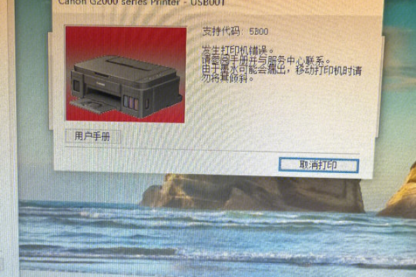 打印机报错c