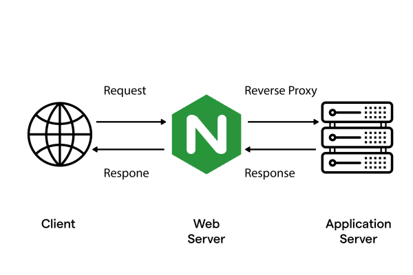 nginx  第1张