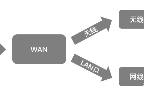 路由器组件的网络属于什么