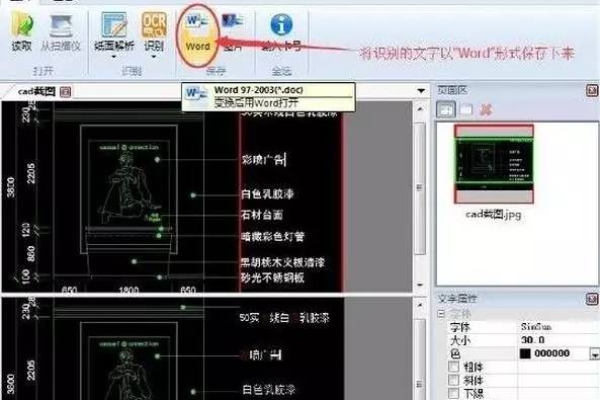 cad如何转成word