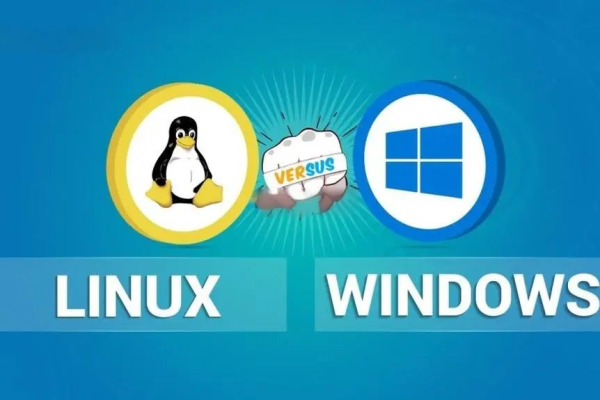 稳定的服务器操作系统：Linux、Windows  第1张