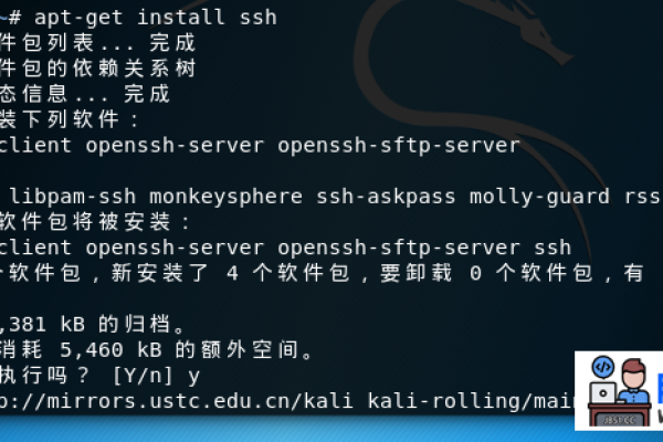 Kali Linux的SSH服务如何设置公钥认证