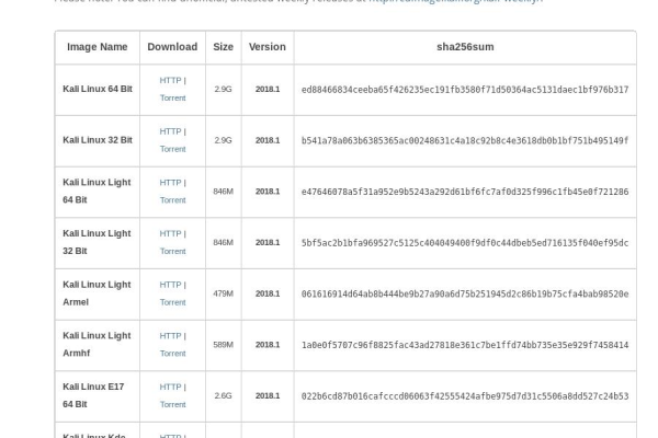 Kali Linux如何进行内存和磁盘性能优化