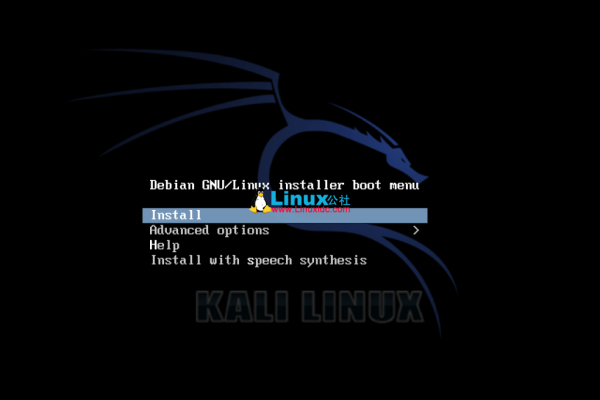 Kali Linux中如何配置和使用代理链