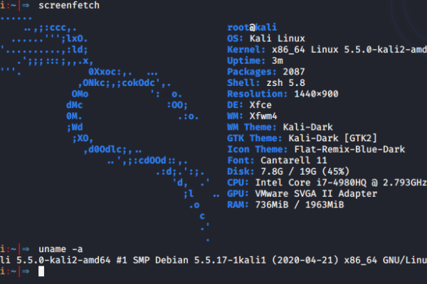 Kali Linux中如何设置网络接口的MTU值  第1张