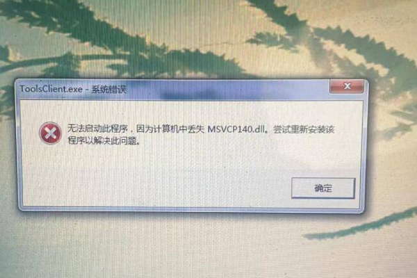 .net 程序在访问提示无法执行程序  第1张