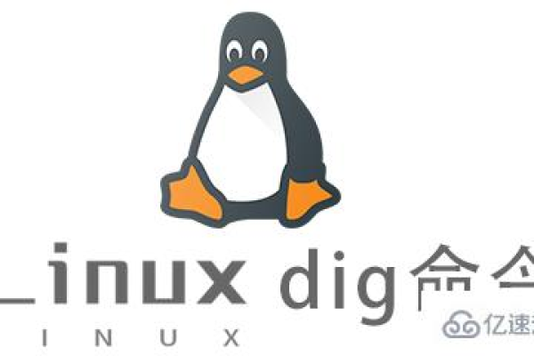 linux下安装使用dig命令