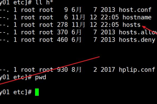 详解Linux系统下的hosts文件