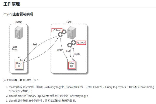 Liunx下Mysql导入utf8mb4数据需要注意的事项  第1张