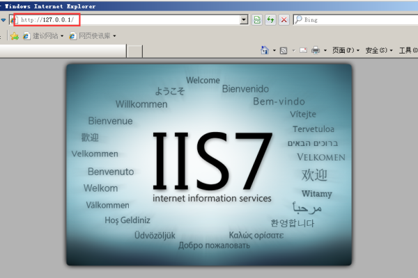 【IIS安装教程】Windows2008服务器下安装IIS环境