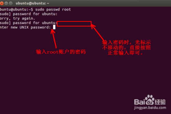 Ubuntu 系统如何启用root账号【蓝队教程】