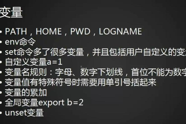 Shell变量：Shell变量的定义、删除变量、只读变量、变量类型