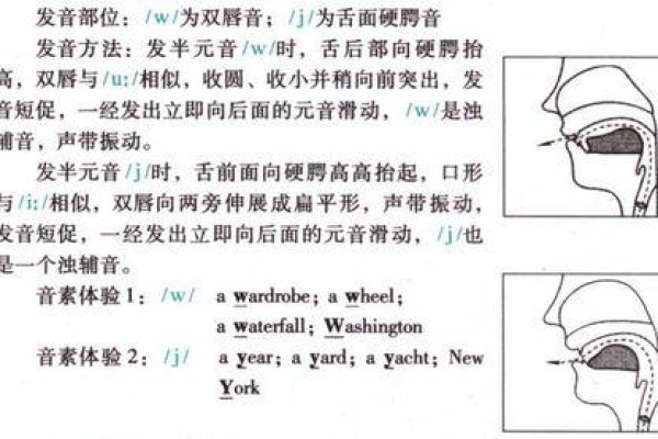 Who和Who is的正确发音分别是什么？