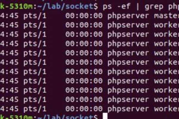 如何安装php-socket io库  第1张