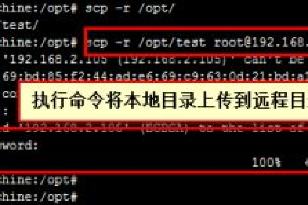 Linux中cp和scp命令的使用方法