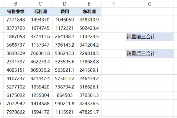 Large函数是什么？它在编程中有何用途？