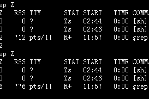 Linux系统如何寻找和杀掉僵尸进程