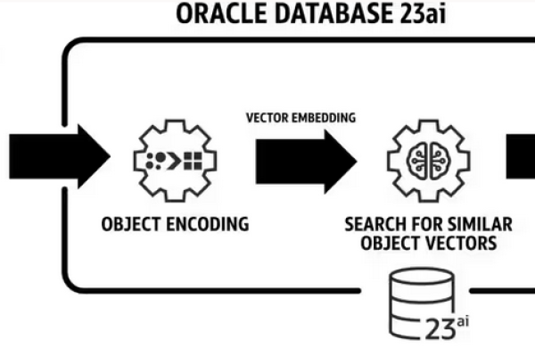 Oracle两次格式化双倍保障数据安全