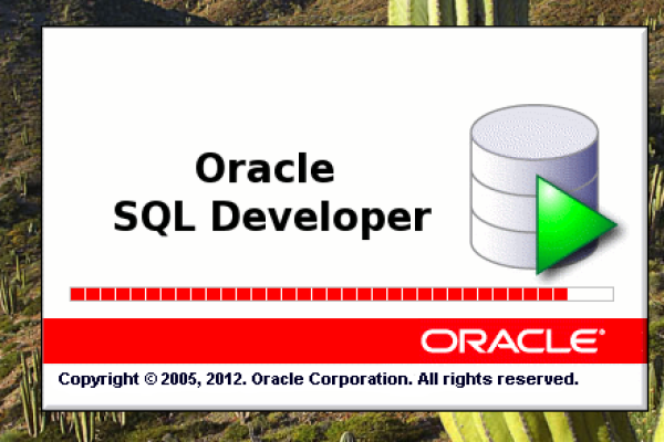 oracle源代码  第1张