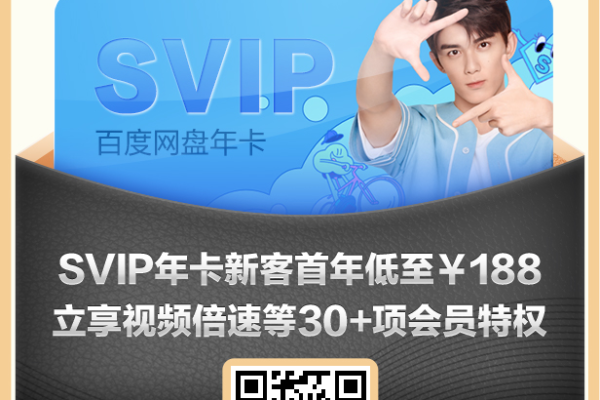 百度云会员vip10