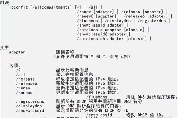 服务器的伙伴通常如何被命名？