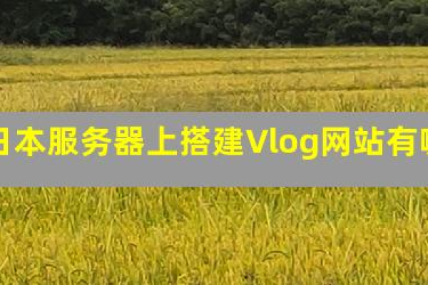 在日本服务器上搭建Vlog网站好处有哪因素有哪些