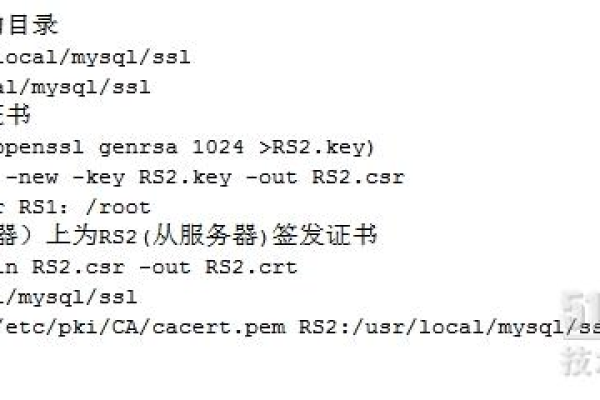 mysql打开ssl  第1张