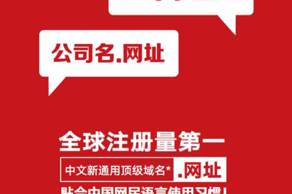 为什么要注册中国互联网域名,中国互联网域名注册的流程与注意事项