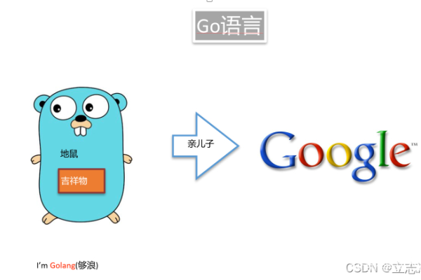 golang怎么学  第1张