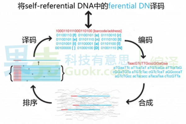 电脑DNA服务器的工作原理是什么？