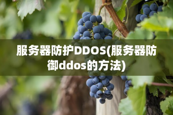 ddos防御服务器租用怎么测试