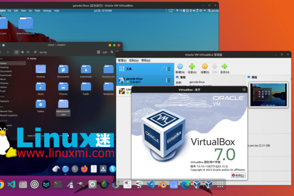 什么是linux虚拟主机,linux虚拟主机的优势与应用