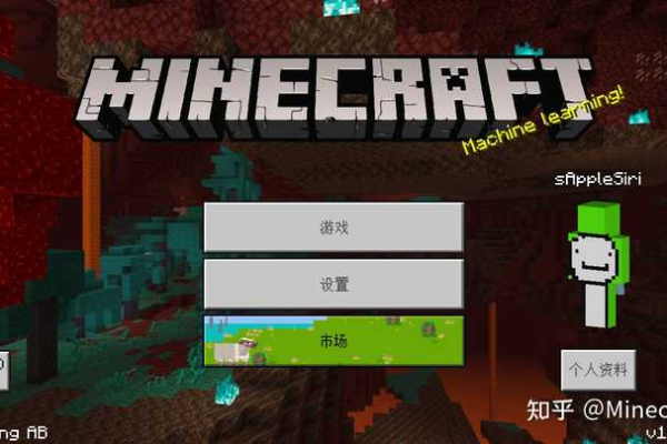 加入Minecraft服务器时需要输入的密码有何含义？  第1张