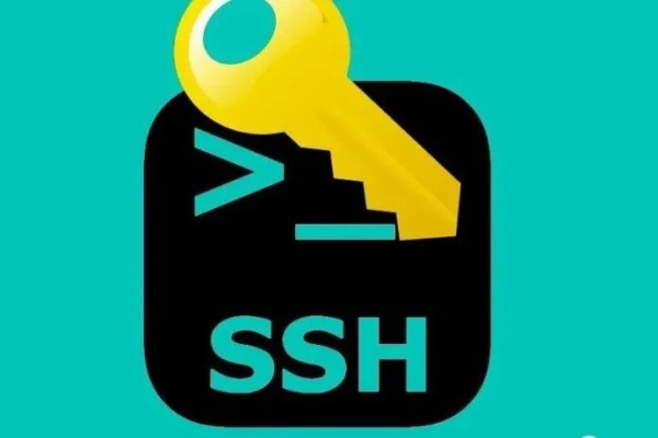 ssh登录特别慢,ssh输入命令很慢2022年更新（ssh登陆很慢）