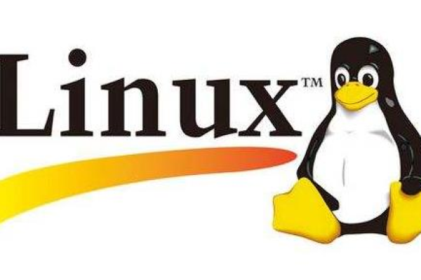 linux虚拟主机什么意思（linux虚拟主机什么意思啊）