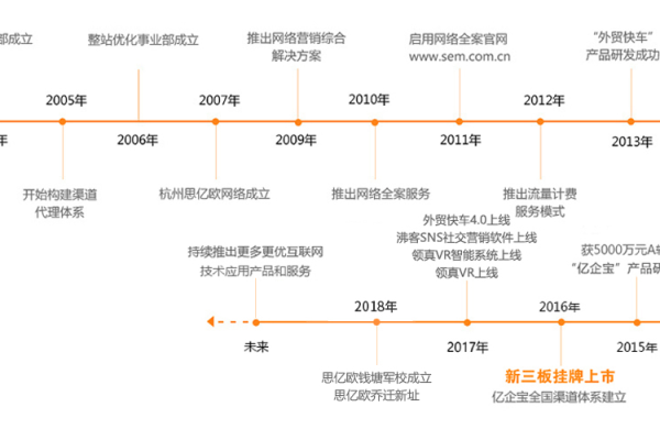 *网络企业是什么,*网络企业的发展历程