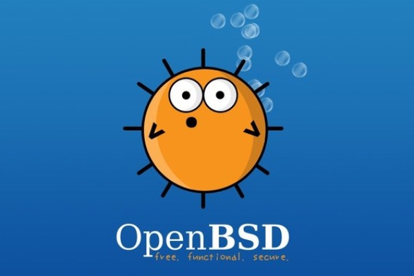 OpenBSD的软件包管理系统有哪些特点