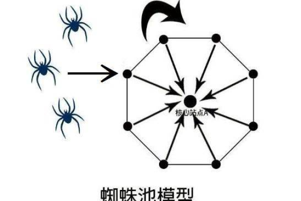 最新蜘蛛池