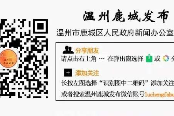 鹿城网站是什么,鹿城网站的发展历程