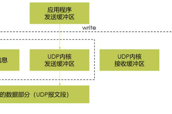 TCP/IP服务器在网络中扮演什么关键角色？