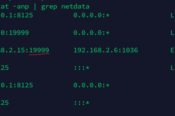 Netdata如何监控系统负载